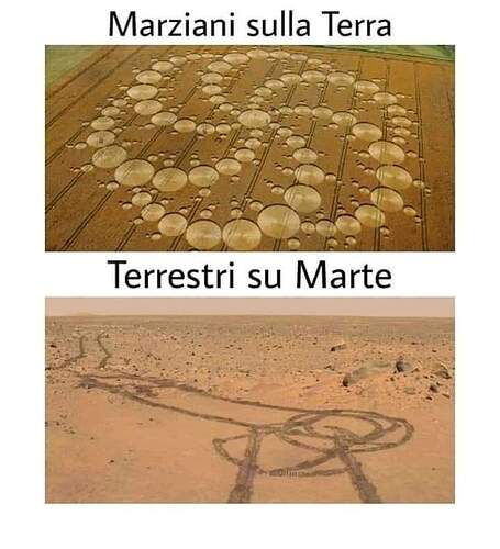 FB_IMG_1613973861917