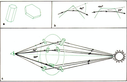 schema parelio.JPG