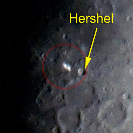 Hershel.jpg