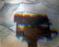 Opportunity autoritratto.jpg