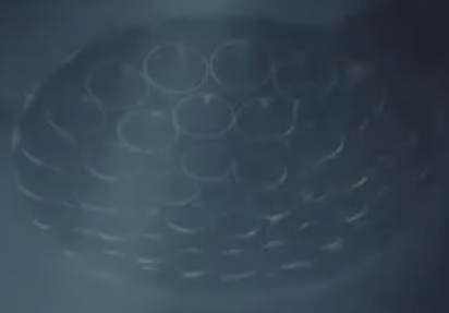 Screenshot from 2016-09-27 22-05-05.png